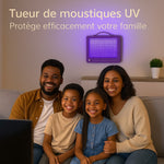 Load image into Gallery viewer, Lampe anti-moustiques à choc électrique
